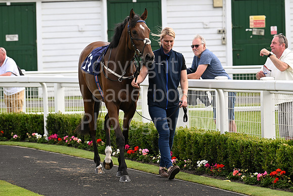 Gt_Yarm_Racing_July_10_-243