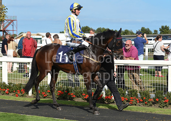 Gt_Yarm_14_Sept_2022-46
