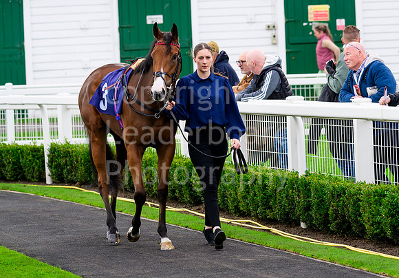NZ9_5106