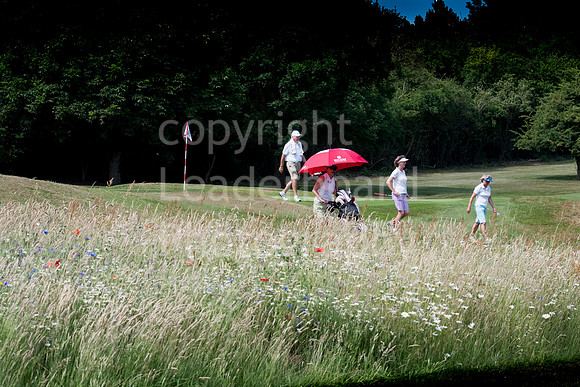 LB_Senior_Harpenden_1496