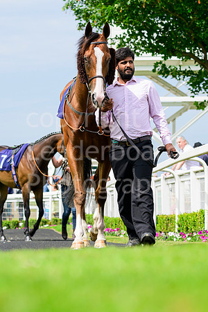 NZ9_2616