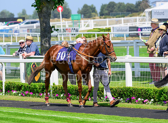 NZ9_2136