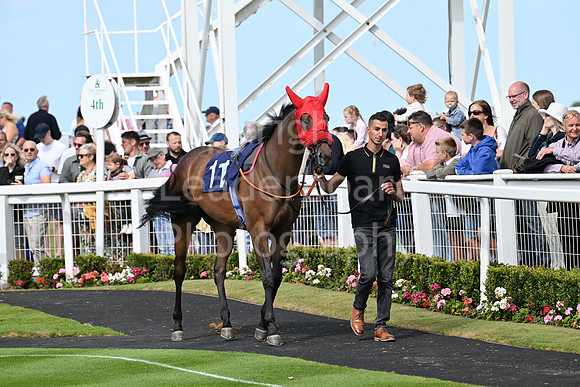 Gt_Yarm_25_Aug_Family_Raceday_2024-42