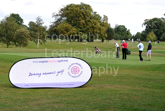 LB_73_Ping_Plate_Final_2011.jpg