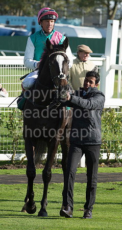 LB_GY_races_18_10_2016_0149