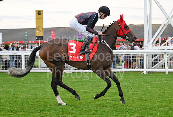 Gt_Yarm_July25_Racing_League_2024-237