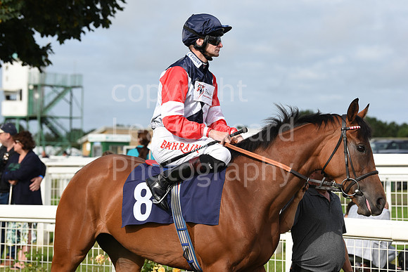 Gt_Yarm_Races_24_Aug_2021-232
