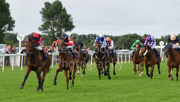 Gt_Yarm_Races_24_Aug_2021-240