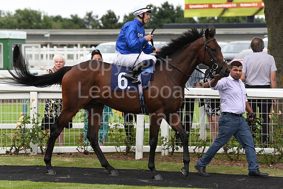 Yarm_Races_17July-25