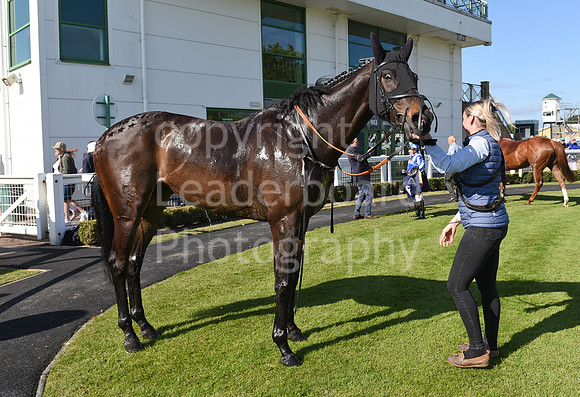 Gt_Yarm_May14_2025-272