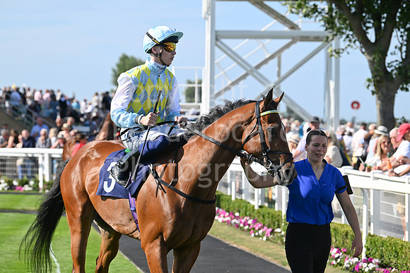Gt_Yarm_Residents_Day_June_27-210