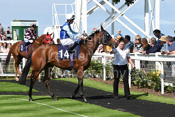 Gt_Yarm_Races_24_Aug_2021-108
