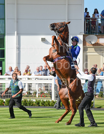 Gt_Yarm_Races_28_Aug_2022-80