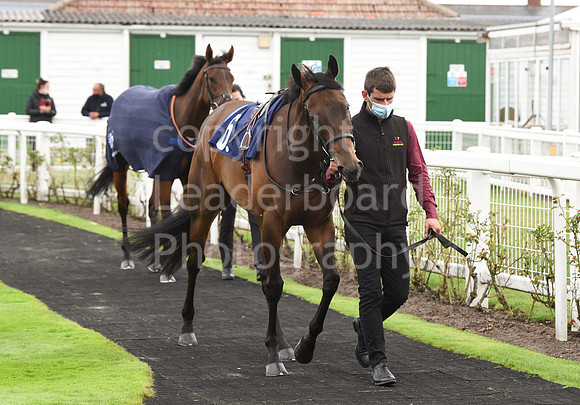 Gt_Yarmouth_Races_230Aug-83