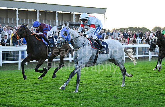Gt_Yarm_Ladies Night_2025-214