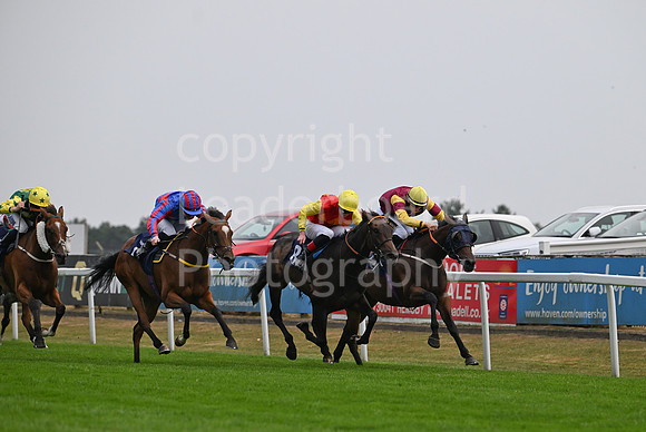 Gt_Yarm_19_Aug_Evening_Race-158