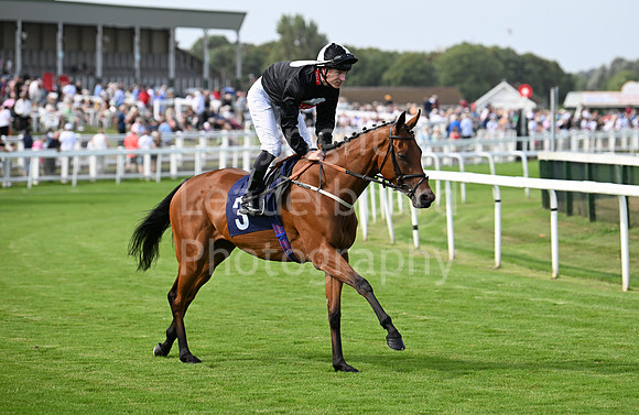 Gt_Yarm_Aug_8_2024-128