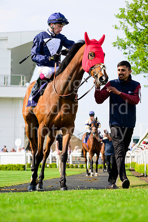 NZ9_5708