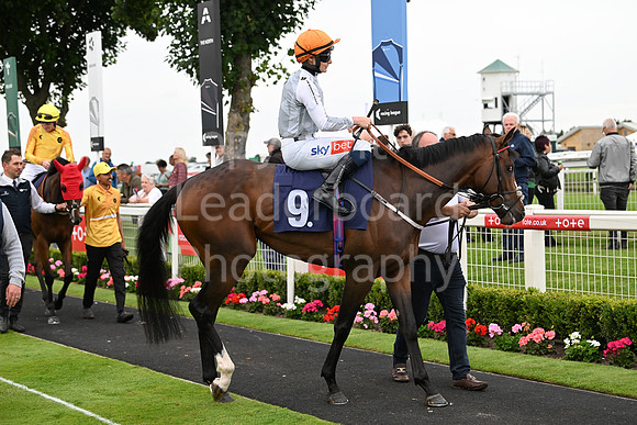 Gt_Yarm_July25_Racing_League_2024-137