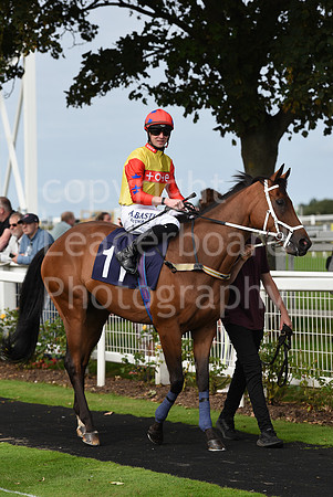 Gt_Yarm_Races_24_Aug_2021-156