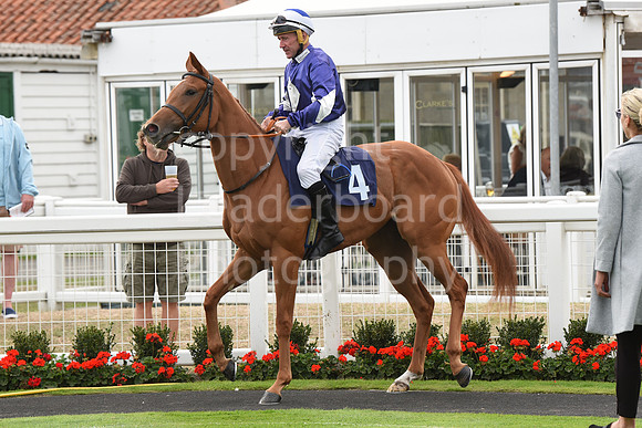 Gt_Yarm_15_Sept_2022-77