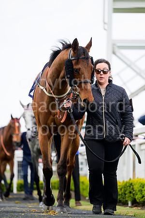 NZ9_3917