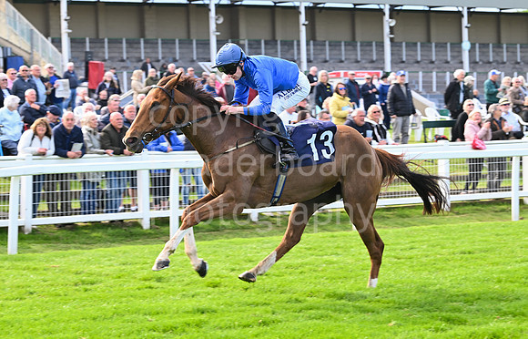 Gt_Yarm_May_22_2024-254