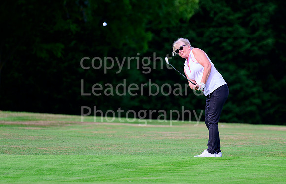 NB_067_Ping_4BBB_Final