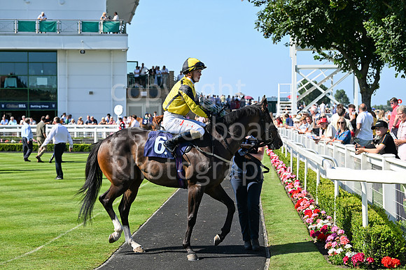 Gt_Yarm_July_30_2024-221