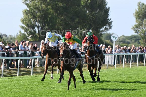 Gt_Yarm_Residents_Day_June_27-215