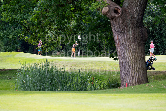 DSC_1498
