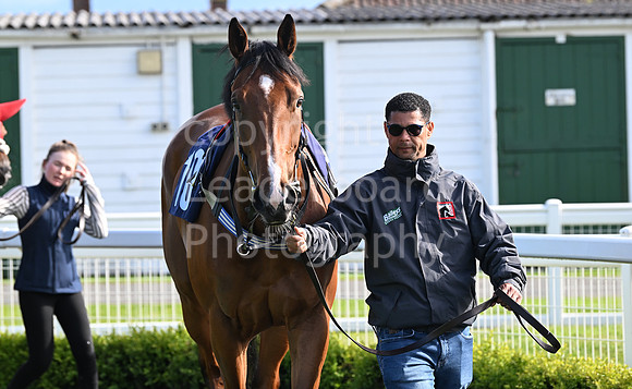 Gt_Yarm_May_22_2024-223