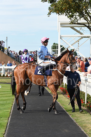 Gt_Yarm_Races_28_Aug_2022-182