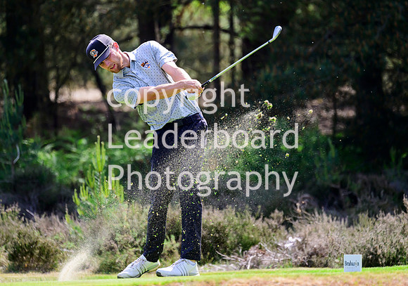 NZ9_5294
