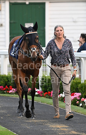 Gt_Yarm_19_Aug_Evening_Race-216