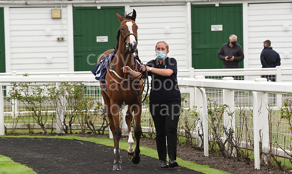 Gt_Yarmouth_Races_230Aug-26