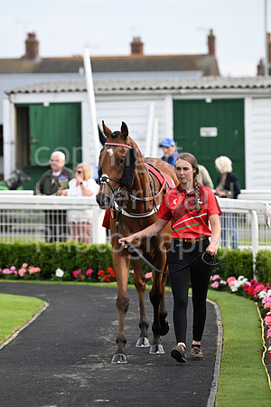Gt_Yarm_July25_Racing_League_2024-5