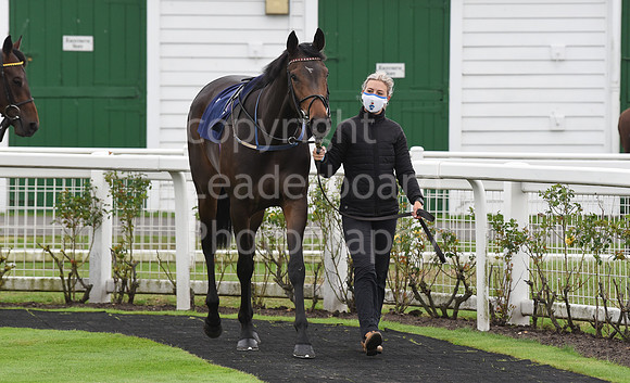 Gt_Yarmouth_Races_230Aug-27