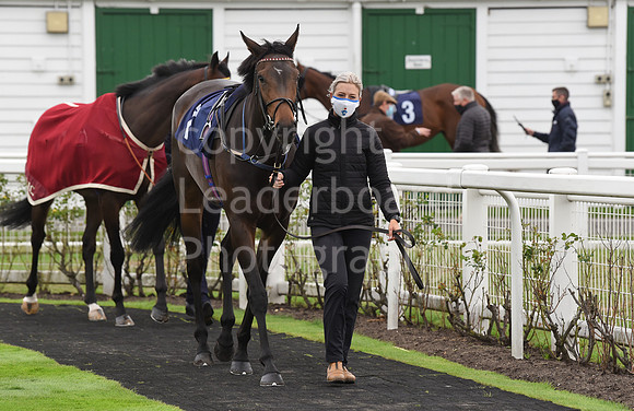 Gt_Yarmouth_Races_230Aug-28