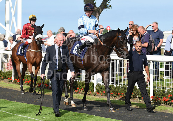 Gt_Yarm_14_Sept_2022-41