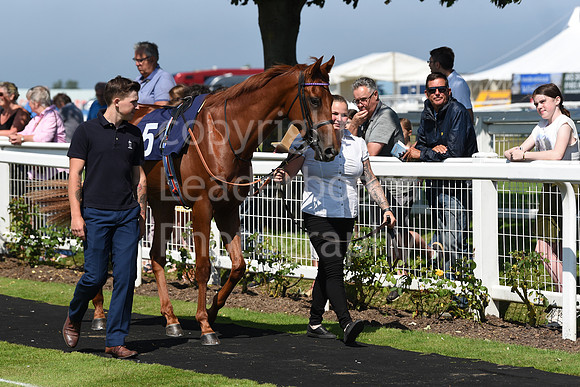 Gt_Yarm_Racing_5th_Aug_2021-39