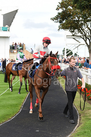 Gt_Yarm_Races_13_Sept8-24