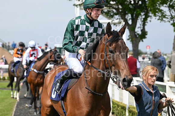 Gt_Yarm_May14_2025-57