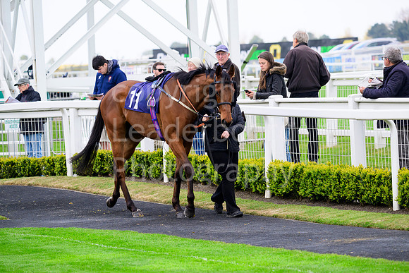 NZ9_3885