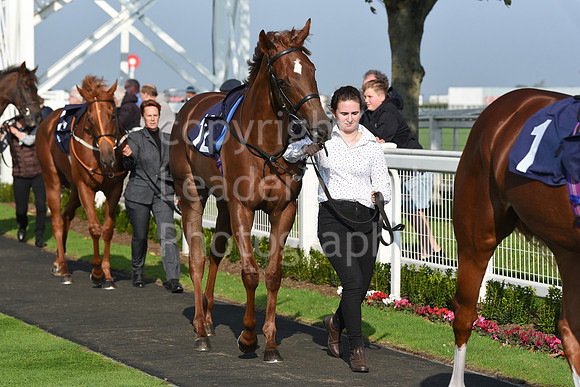 Gt_Yarm_Season_Finale_19Oct_2021-2