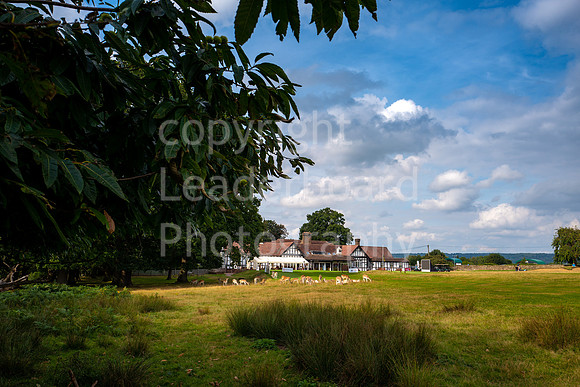 LBP_Champion_Club_Knole-1