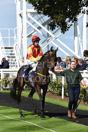 Gt_Yarm_Races_24_Aug_2021-104