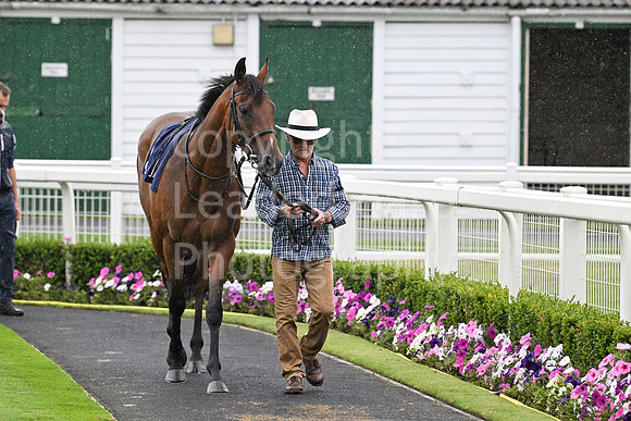 Gt_Yarm_3_Aug_2025-39