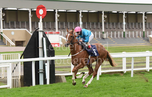 GYraces_16sept_Race7_winner-1
