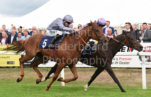 Gt_Yarm_15_Sept_2022-151